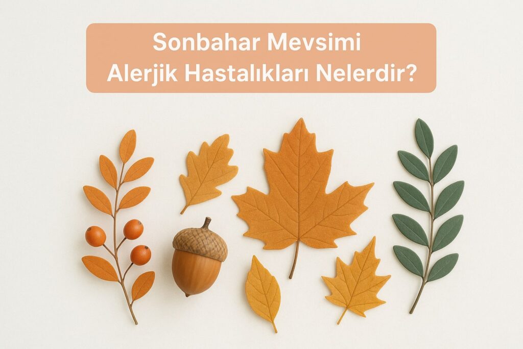 Sonbahar Mevsimi Alerjik Hastalıkları
