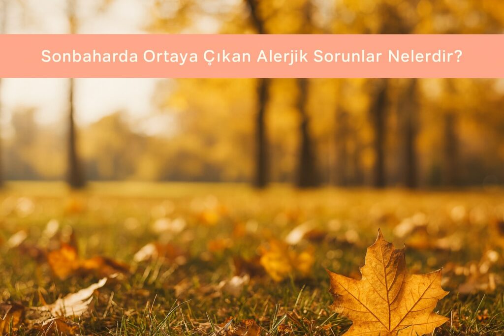 Sonbaharda Ortaya Çıkan Alerjik Sorunlar Nelerdir?