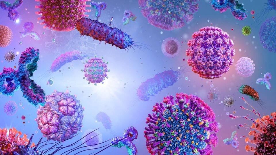 Viral Enfeksiyon Nedir?