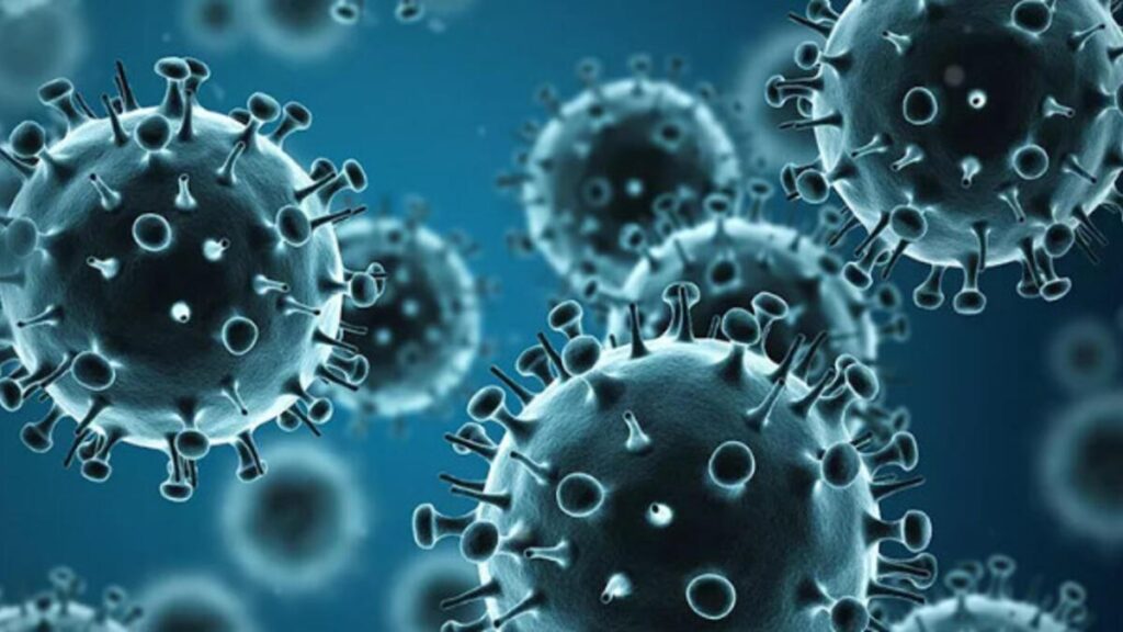influenza A nedir?