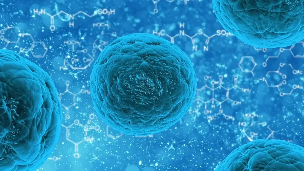 viral enfeksiyona bağlı zatürre nedir?